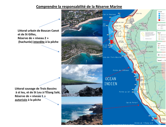 19 février 2019 : 8 ans de crise requin !