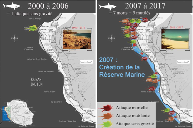 19 février 2019 : 8 ans de crise requin !
