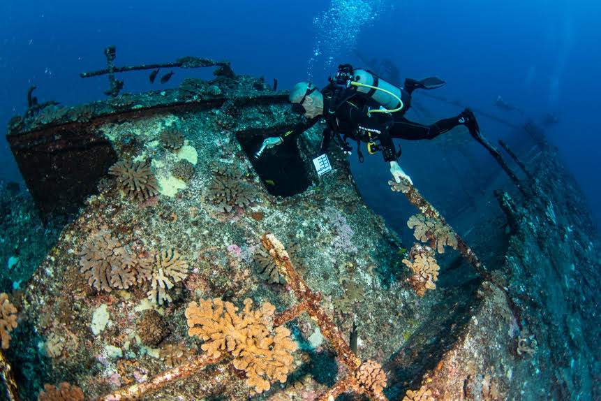 Des images sous-marines de l'épave du