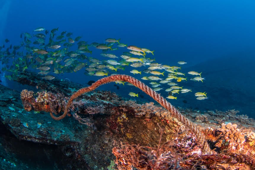 Des images sous-marines de l'épave du