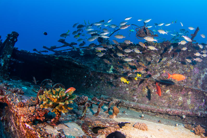 Des images sous-marines de l'épave du