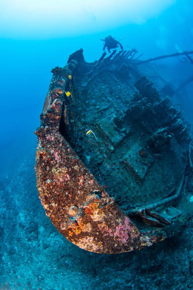 Des images sous-marines de l'épave du