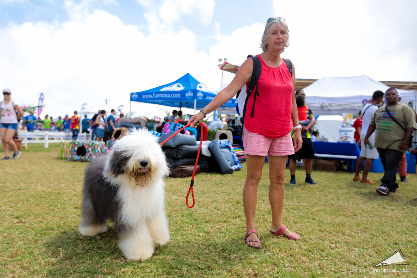 Exposition Canine Nationale de Trois-Bassins