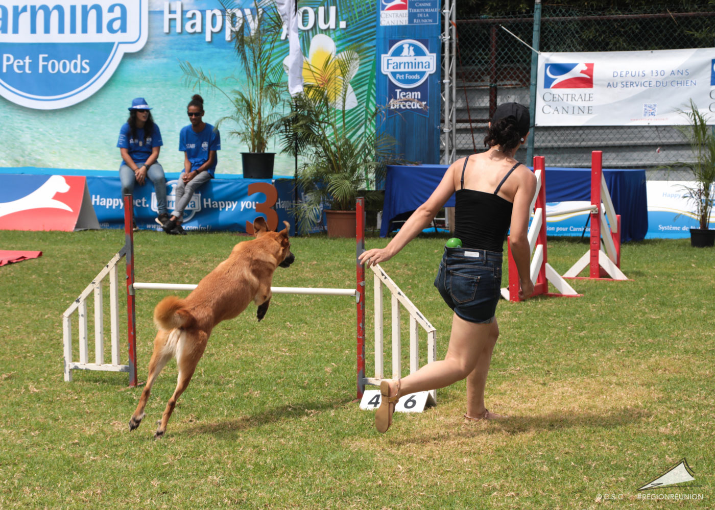 Exposition Canine Nationale de Trois-Bassins