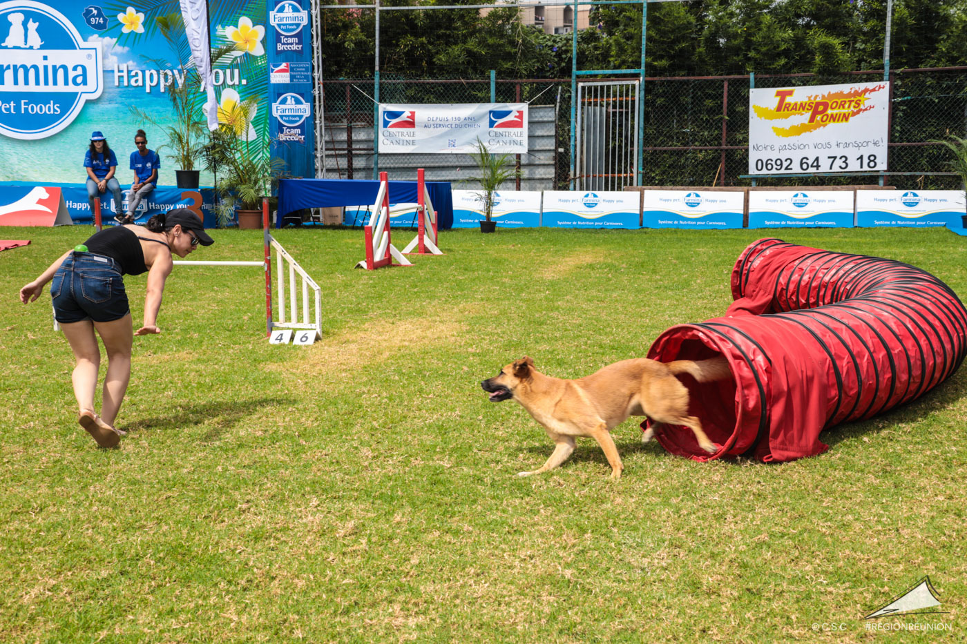 Exposition Canine Nationale de Trois-Bassins