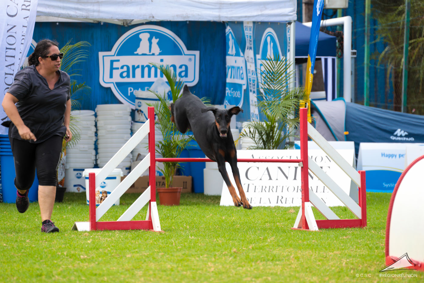 Exposition Canine Nationale de Trois-Bassins