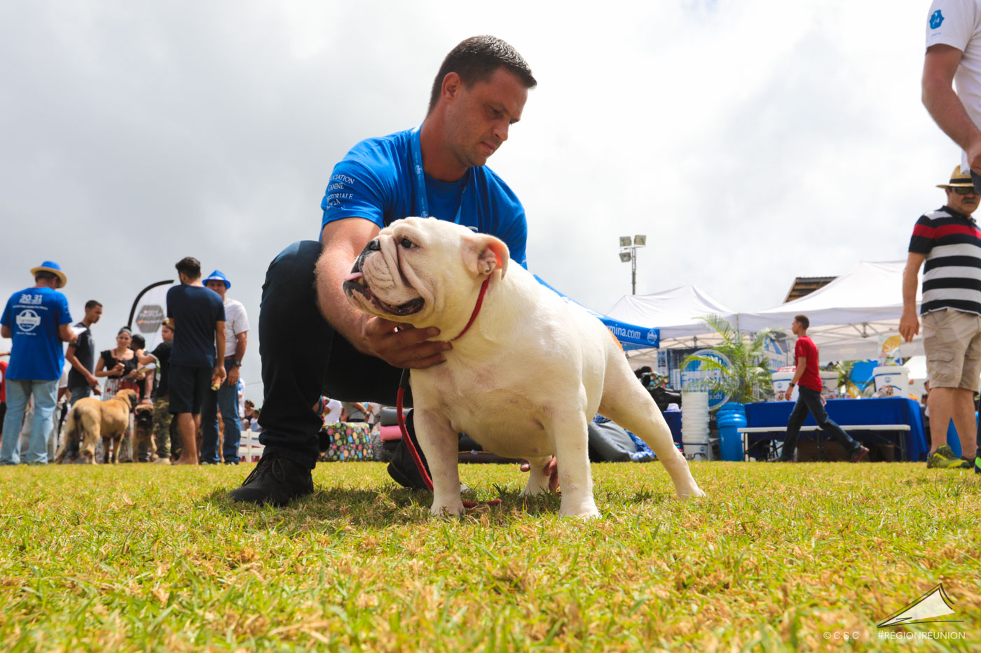 Exposition Canine Nationale de Trois-Bassins