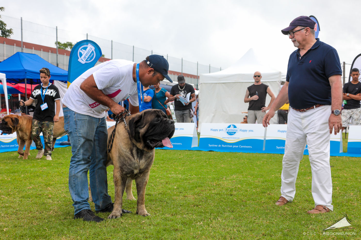 Exposition Canine Nationale de Trois-Bassins