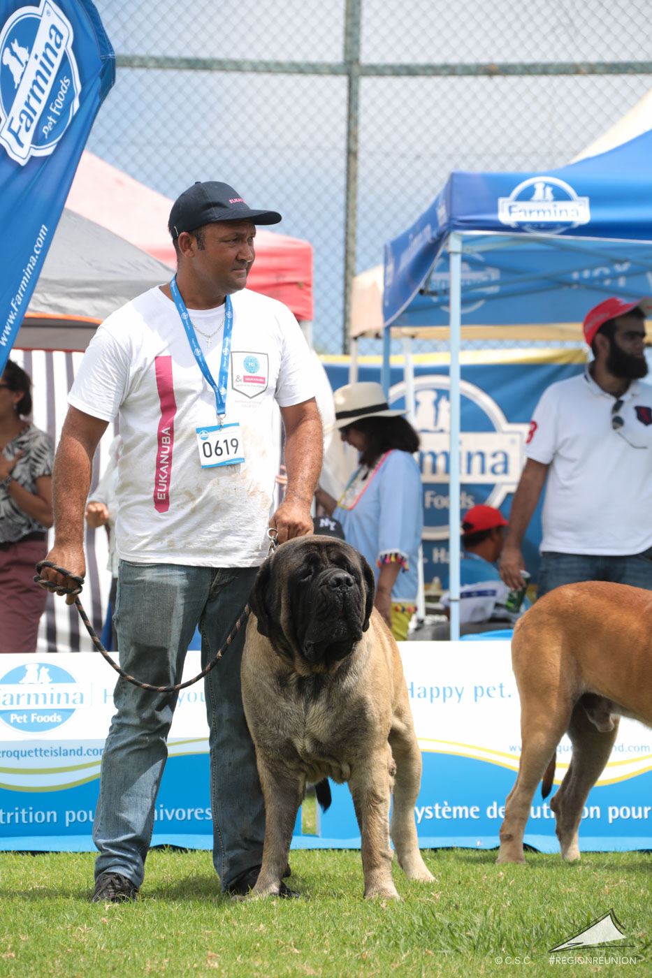 Exposition Canine Nationale de Trois-Bassins