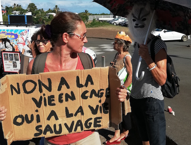 ?? Insultes, crachats,... Les membres de Milit'Activ agressés devant le cirque Zavatta
