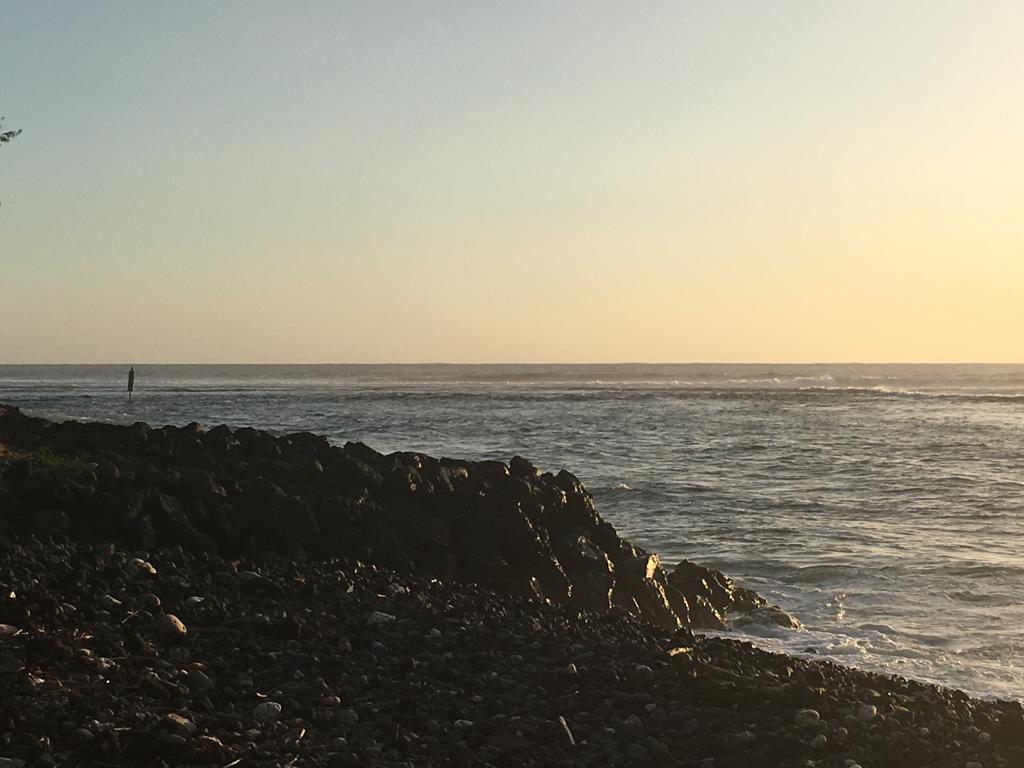 Attaque de requin à Saint-Leu : Le surfeur est décédé