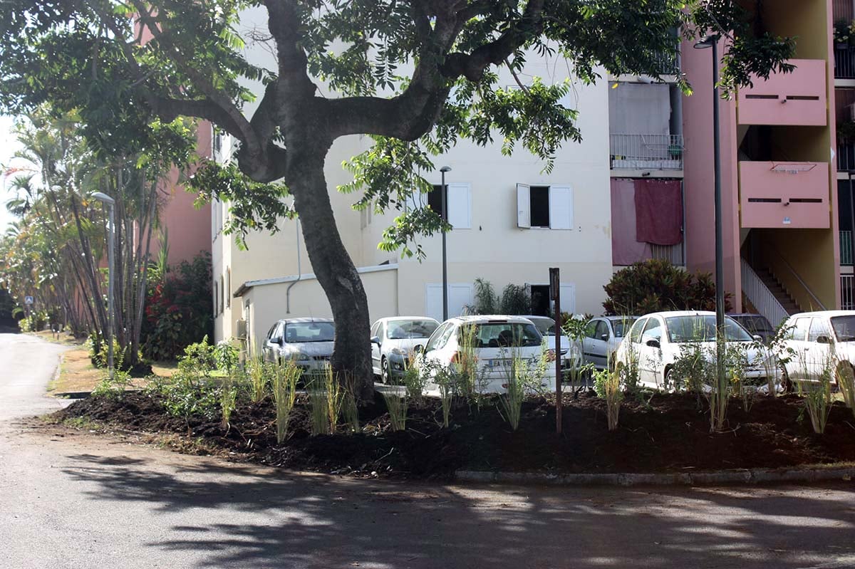 Stop aux makots ! Opération secteur rue Jean de la Fontaine