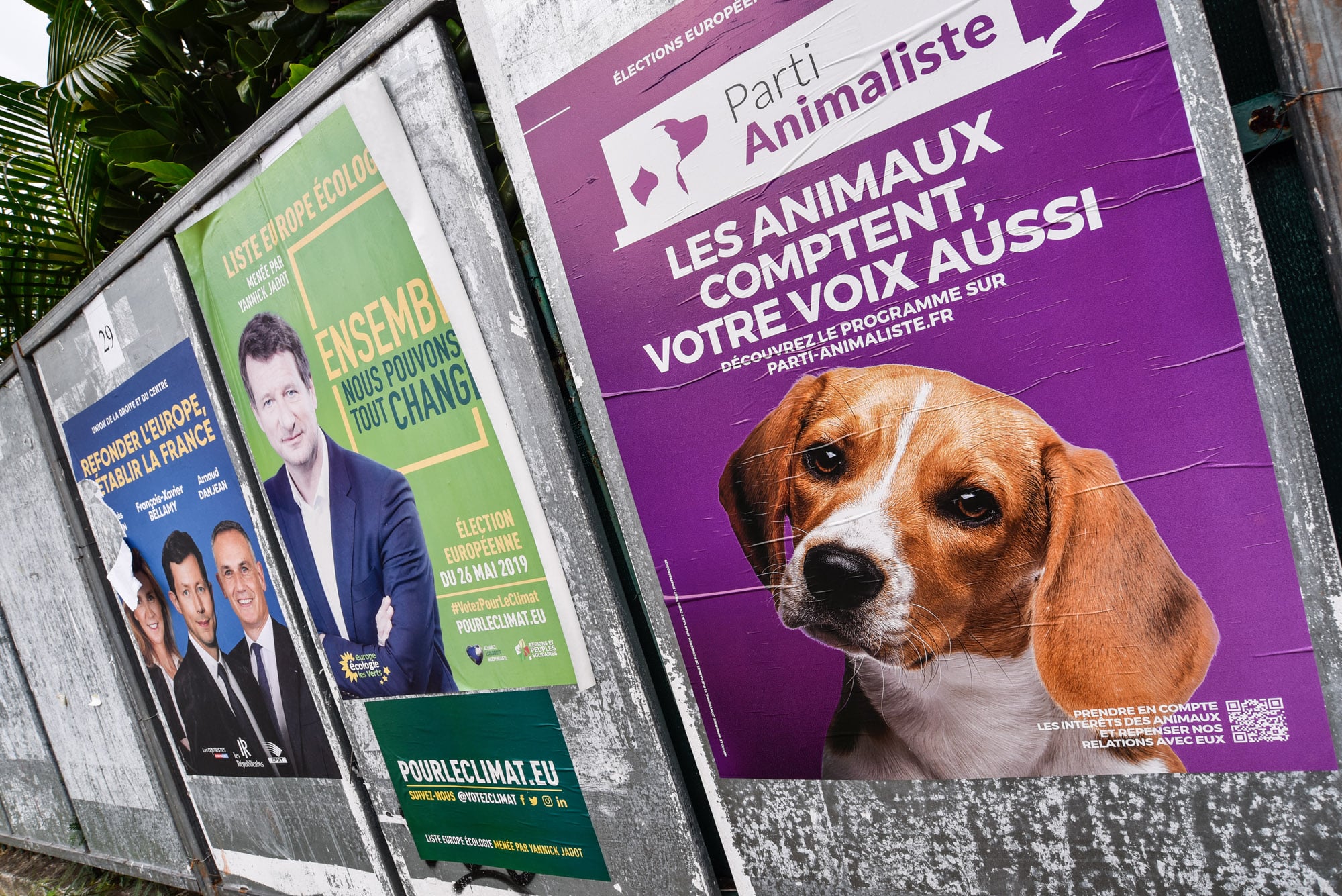 ? On a voté au Chaudron