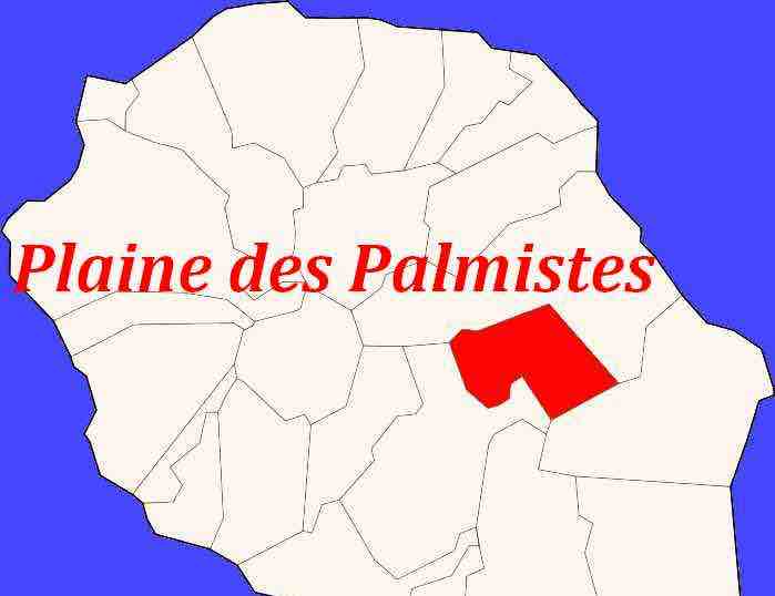 Européennes : Les résultats de la commune de la Plaine des Palmistes