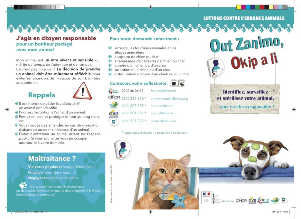 Lutte contre l’errance animale : une campagne de sensibilisation en cours dans les quartiers de Saint-Paul