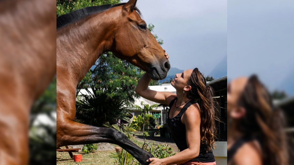 Ostéopathe pour les chevaux, c'est tout un métier ! 
