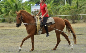 Retour en images sur la Fête du cheval