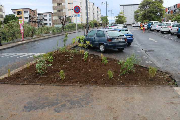 Stop aux makots ! Opération secteur Ravine Blanche