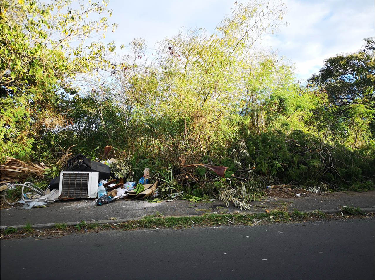 Stop aux makots ! Opération secteur Ravine des Cabris (rue du Dr. Dierick)