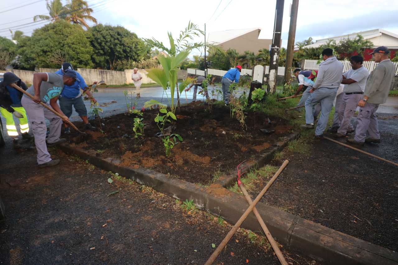 Stop aux makots ! Opération secteur de Bassin Plat (Allée des Lauriers Roses / Allée des Gloxinias)