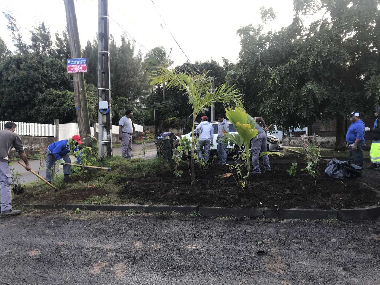 Stop aux makots ! Opération secteur de Bassin Plat (Allée des Lauriers Roses / Allée des Gloxinias)