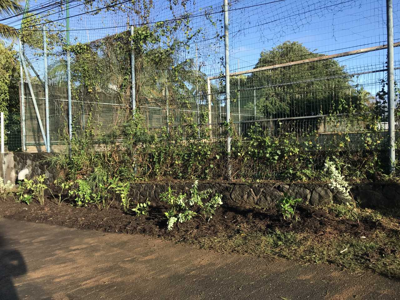 Stop aux makots ! Opération secteur de Bassin Plat (Allée des Lauriers Roses / Allée des Gloxinias)