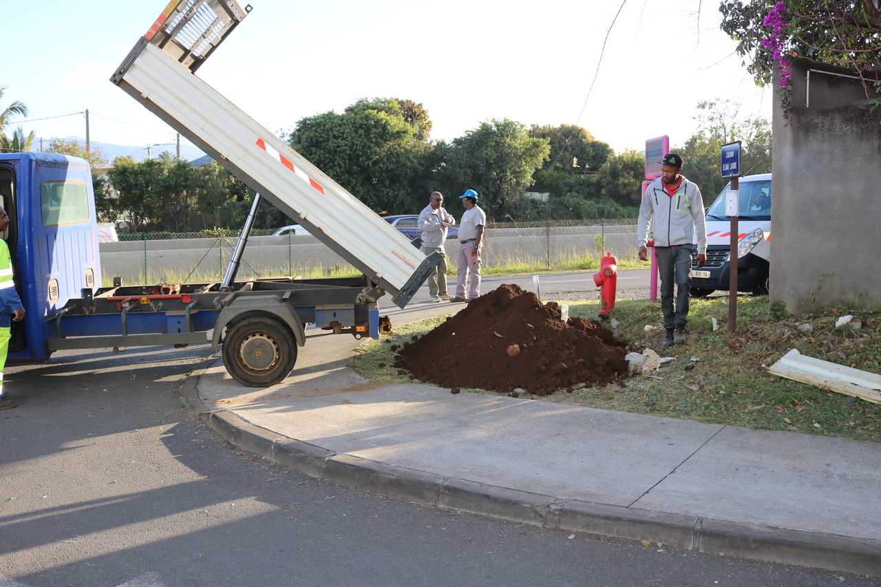 Stop aux makots ! Opération secteur de Basse Terre