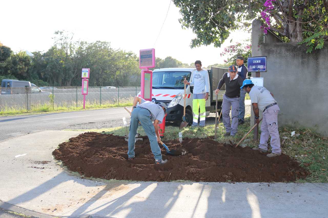 Stop aux makots ! Opération secteur de Basse Terre