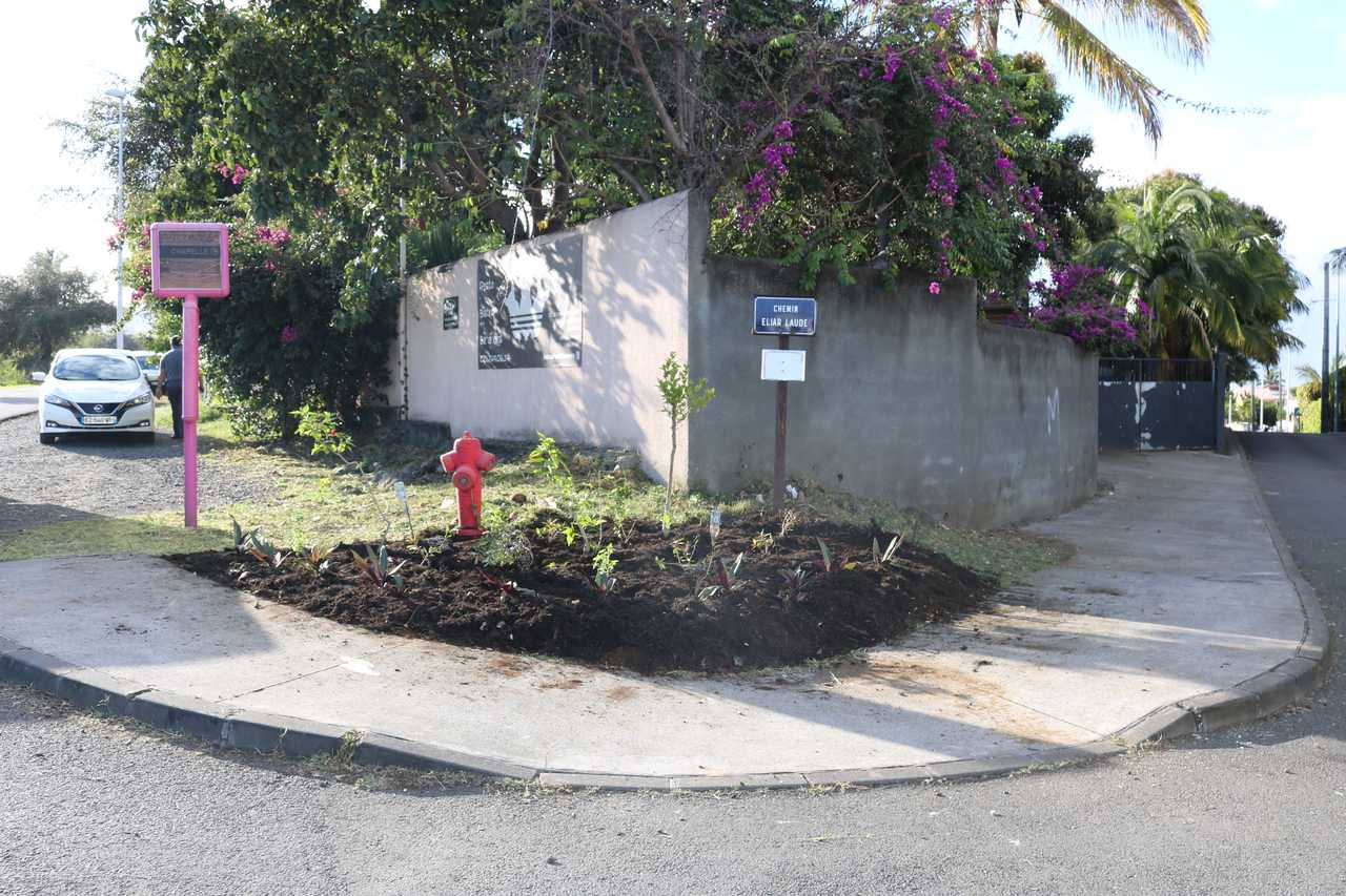 Stop aux makots ! Opération secteur de Basse Terre