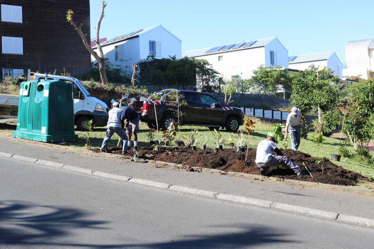 Stop aux makots ! Opération secteur de Zac Bank