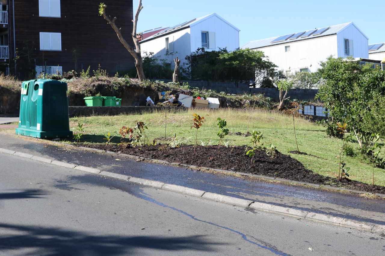 Stop aux makots ! Opération secteur de Zac Bank