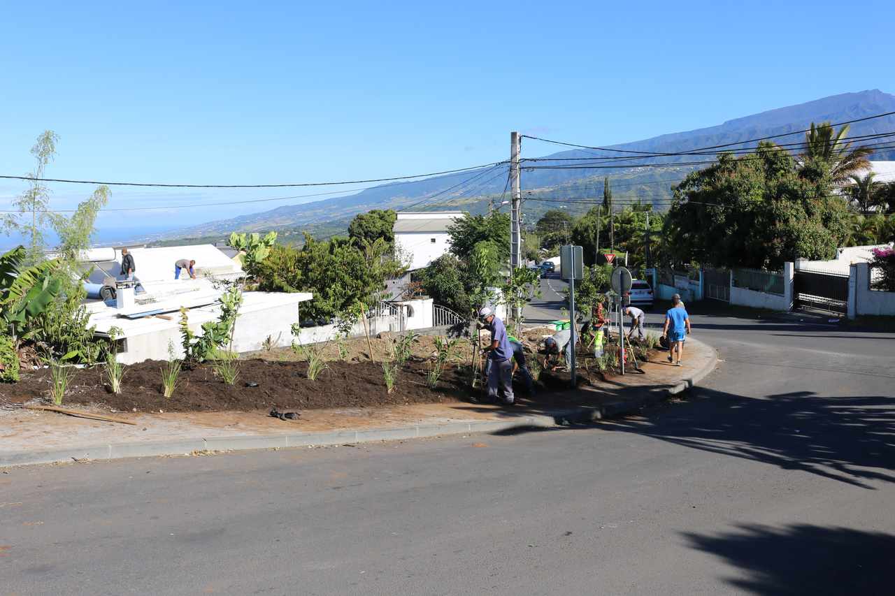 Stop aux makots ! Opération secteur de Ravine des Cabris - ligne des 400