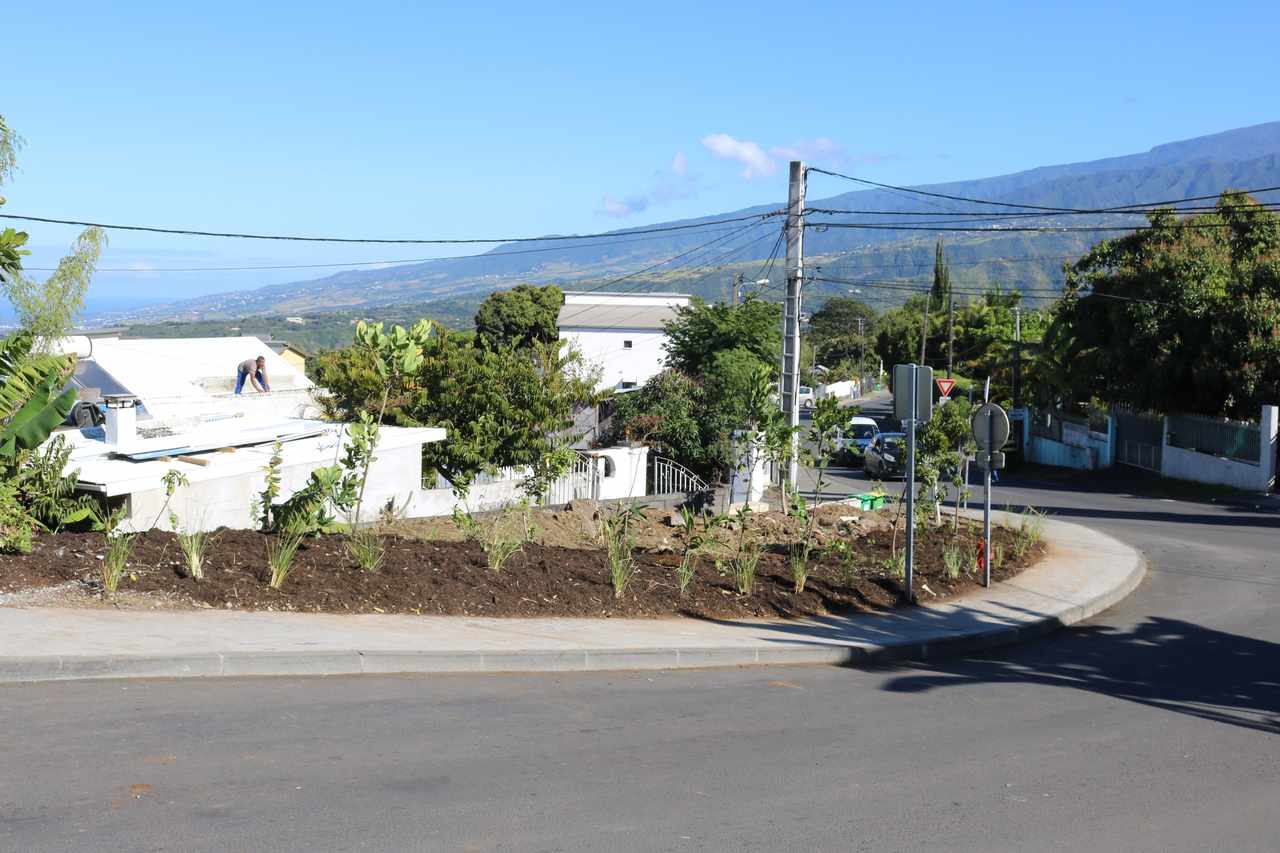 Stop aux makots ! Opération secteur de Ravine des Cabris - ligne des 400