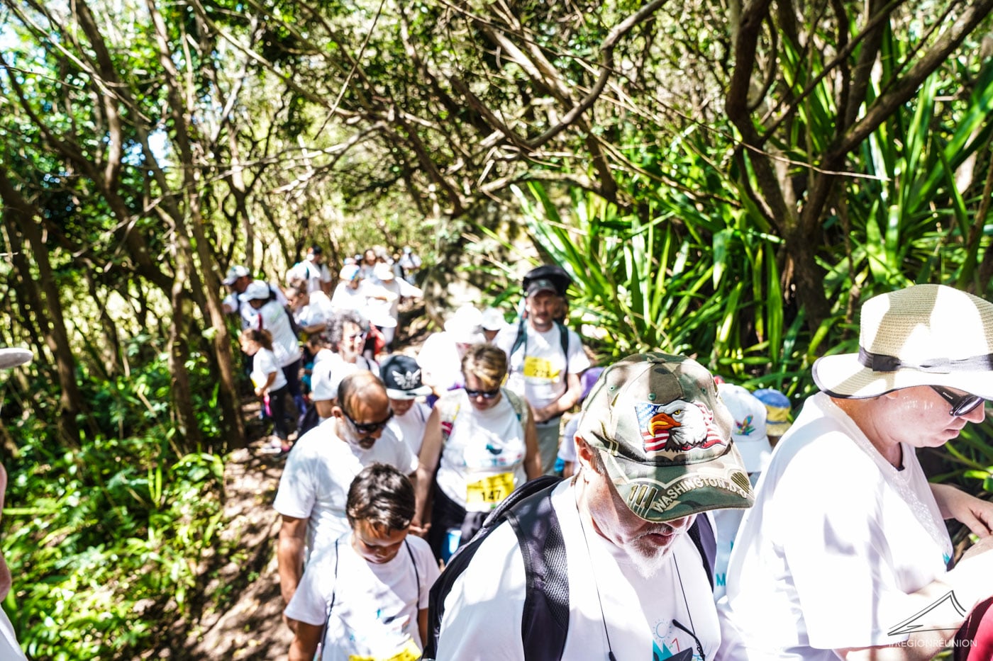 Pandathlon 2019