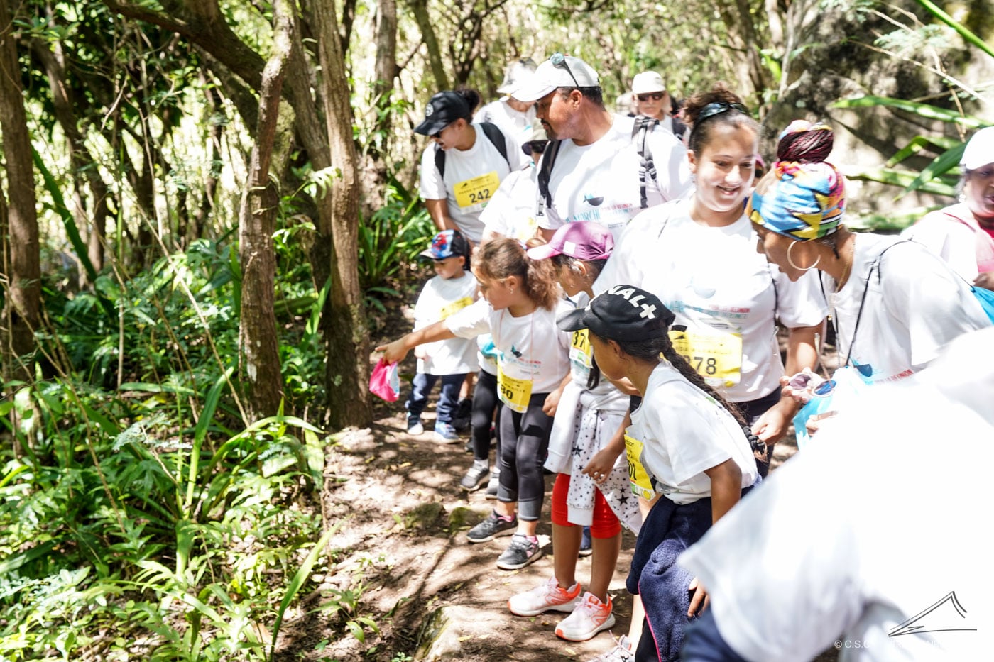 Pandathlon 2019