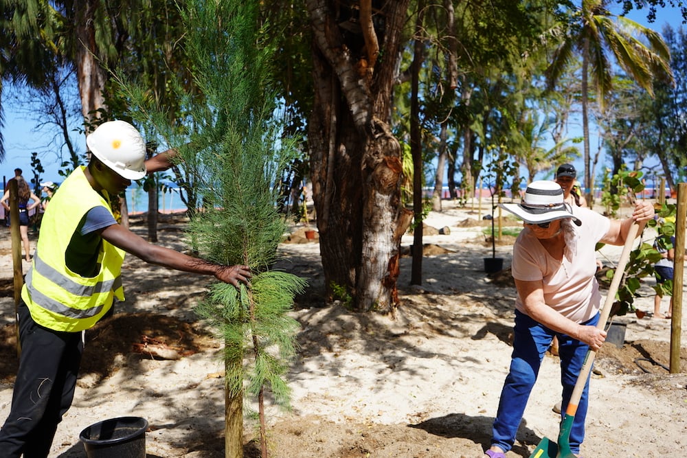 Opération “4 000 arbres” : les 100 premiers végétaux plantés à l’Hermitage