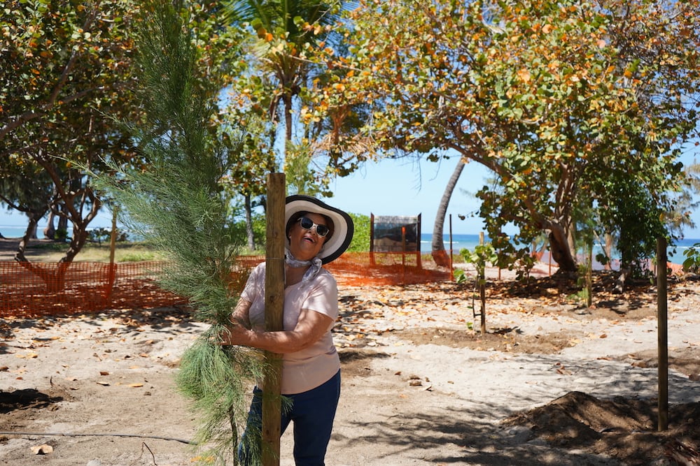 Opération “4 000 arbres” : les 100 premiers végétaux plantés à l’Hermitage