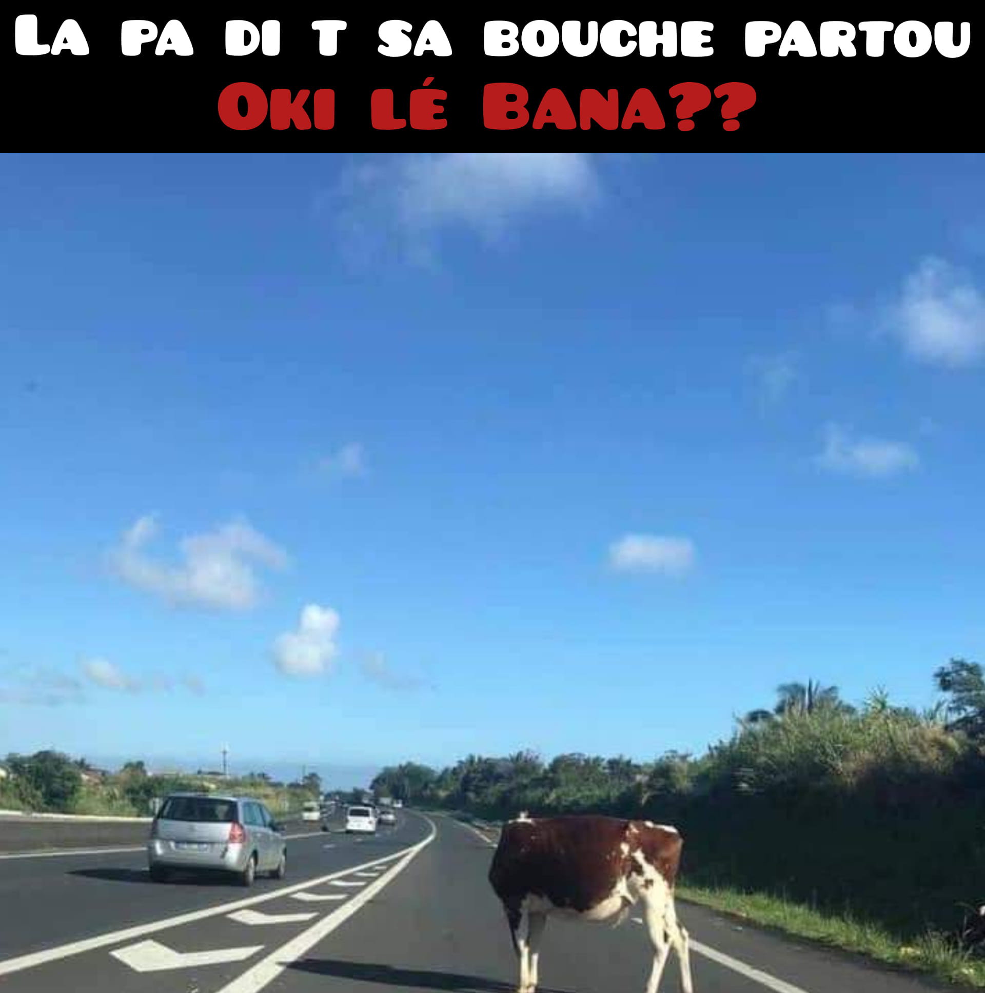 Macron à La Réunion : Les internautes se lâchent