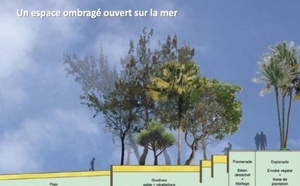 Tamarun change de statut et renforce son 