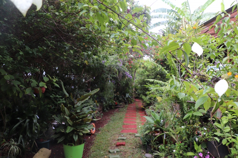 Le concours Jardins et balcons fleuris fête ses 10 ans