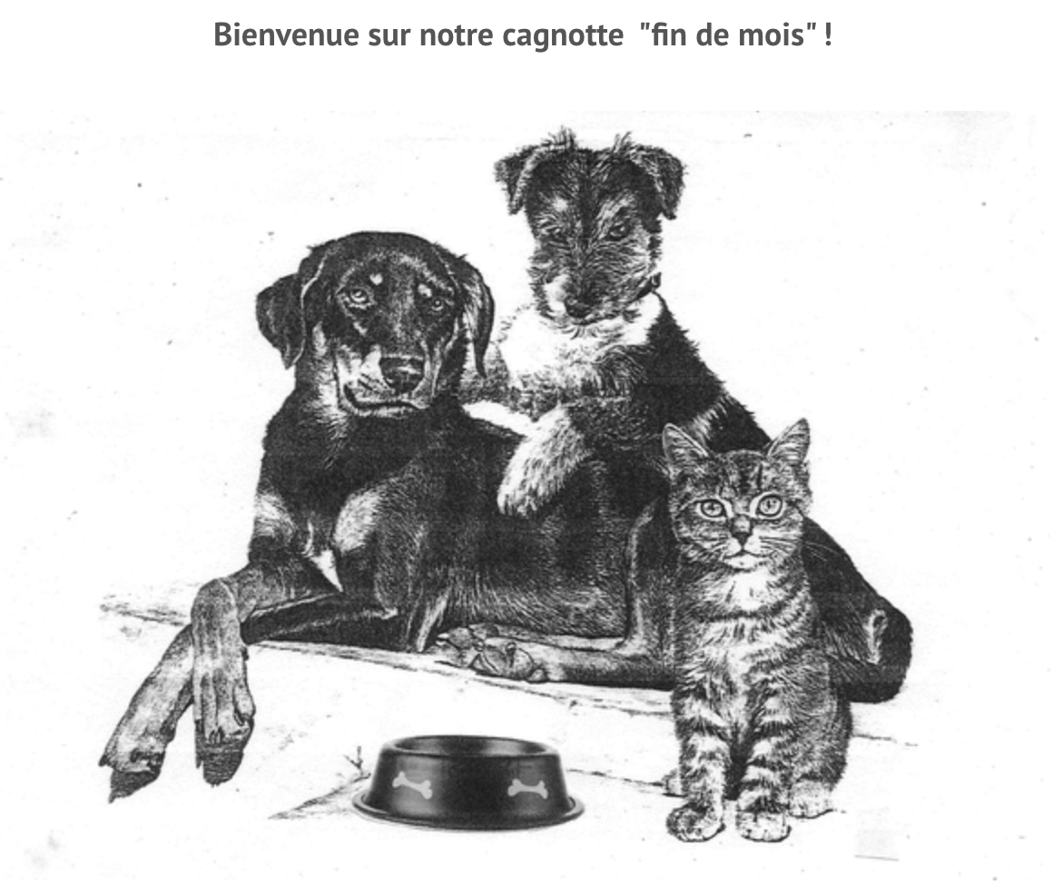 Association Droit de cité: A tous nos soutiens, historiques ou plus récents !