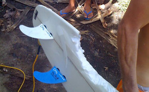 Une attaque de requin à St-Benoît