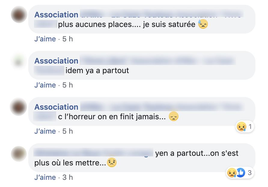 ?? Quand des ordures traitent les animaux comme de vulgaires déchets