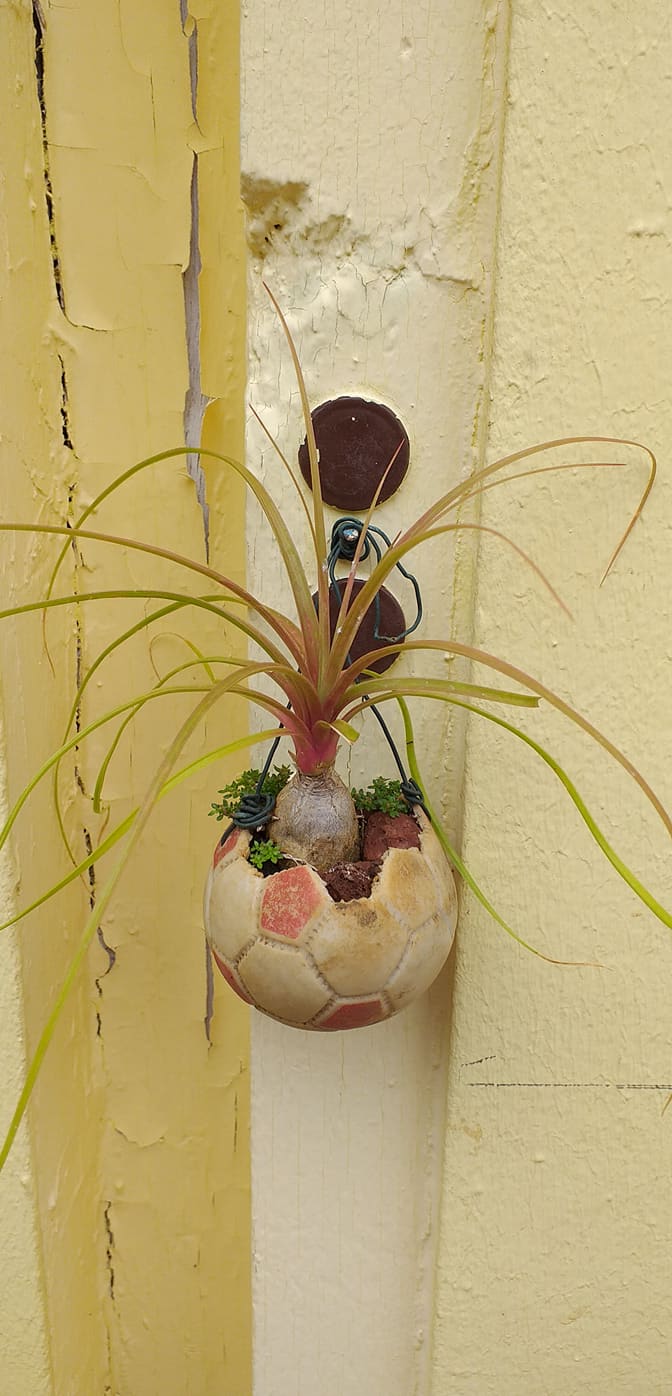 Concours Jardins et balcons fleuris : les visites continuent