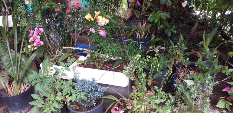 Concours Jardins et balcons fleuris : les visites continuent