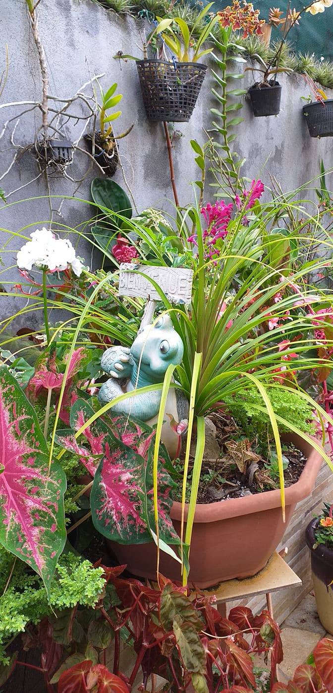 Concours Jardins et balcons fleuris : les visites continuent
