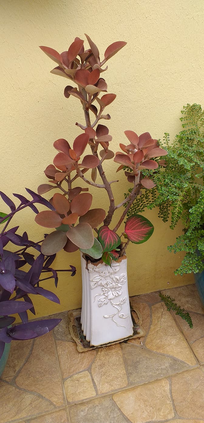 Concours Jardins et balcons fleuris : les visites continuent