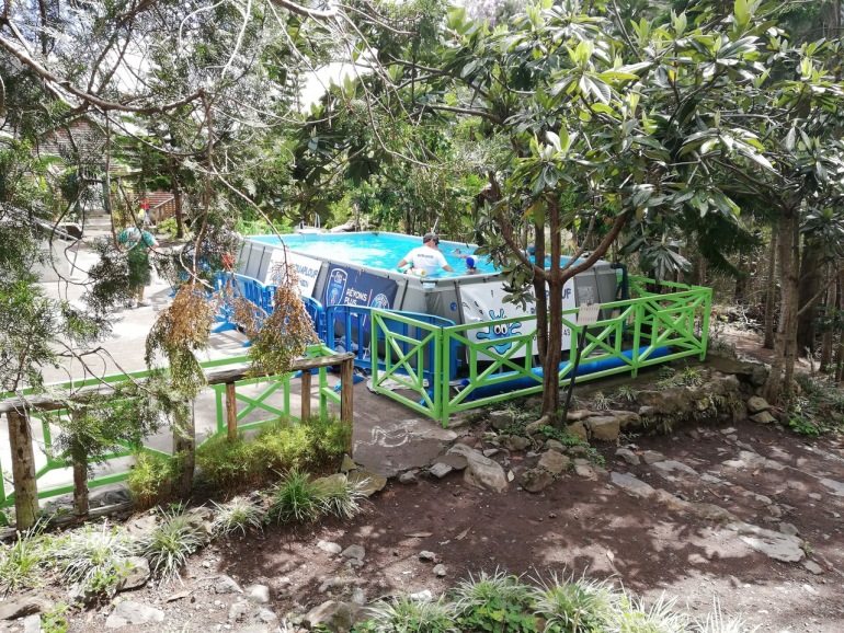 Les petits Mafatais nagent dans une piscine mobile