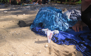 Développement durable : 200.000 mégots ramassés sur la plage de Saint-Pierre !