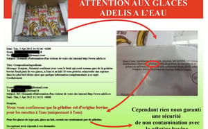 Gélatine animale: Les glaces Adélis pointées du doigt par les musulmans